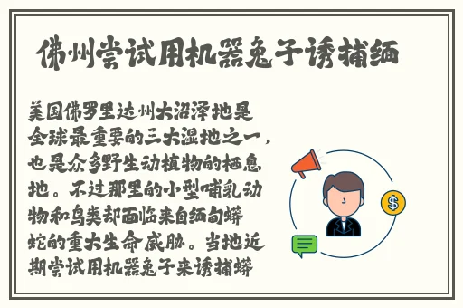 海角精产国品户外